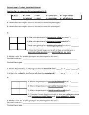 Monohybrid Cross Practice.pdf