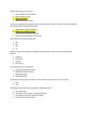 questions about the enzymes.docx