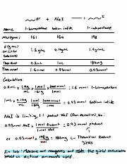 Lab Notebook Example.pdf