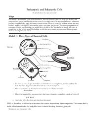 Brendan Hunker - 7 Prokaryote and Eukaryote Cells-S.pdf