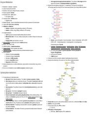 7,8,9,10 - Biochemistry.pdf