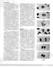 中国大百科全书24_269.pdf