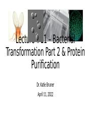 Lecture 11 Slides Bacterial Transformation Part 2, Protein Purification-to post.pptx