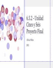 6.5.2 -Unidad Cinco y Seis Proyecto Final (1).pdf