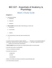 107 w2 study guide.docx