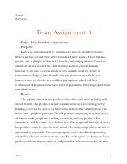 Team Assignment0.pdf