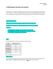 Copy of 3_01_Lab Report Template_v23.docx