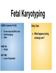 Fetal Karyotyping.pdf