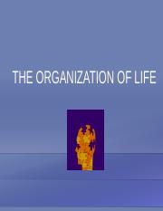 U1O1C2_The_organization_of_Liferev_AccC.pptx