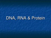 CH 10---DNA&amp;RNA