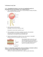 cell_membrane_study_guide_answers