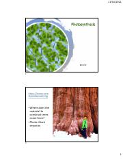Photosynthesis.pdf