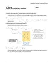 Chapter 18 Guided Reading Assignment