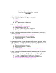 Enzyme Controlled Reactions Worksheet