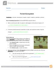 Forest_Ecosystem (1).docx