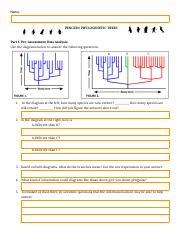Michael Camilleri - 2.1 Penguin Phylogenetic Tree Lab.pdf