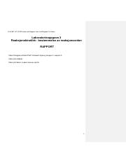 Elizabeth N-Rapport 3.pdf