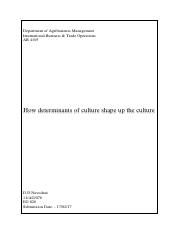 culture shape