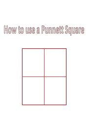 How to Use a Punnett Square(1) - Tagged.pdf