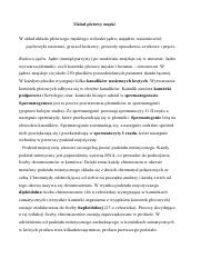 Ukł. płciowy, embriologia.pdf
