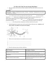 worksheet .pdf