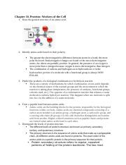 chemistry outline #5.docx