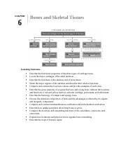 Chapter 6 Learning Outcomes  (1) (1).docx