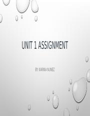  unit 1 assignment.pptx