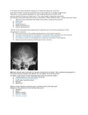 New Neuro Questions 2014.docx