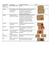 Tissue Integrity Disccussion S1 copy.docx