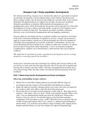 Lab 6 - Xenopus I.pdf