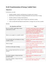 1.3 science 7th guided notes.doc