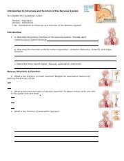w5anim_introduction_structure_function_nervous_system_worksheet.doc