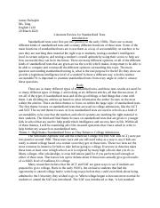 Paper 2 Literature Review.doc