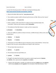 8.2 DNA Structure Official.docx