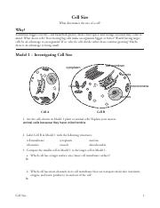 Fillable Cell Size-S.pdf