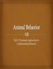 Zoo 11, Animal Behavior 1.pdf