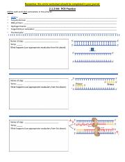 2.1.2 PCR Practice Sheet.pdf