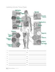 Histology Exercise 1.pdf