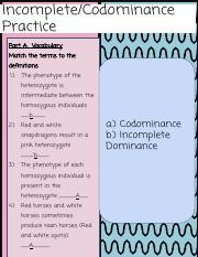 Andrew_Baker_Incomplete_Dominance_and_Codominance_Practice_.pdf