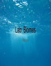 Lab- Biomes.pdf