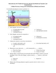 Biomembranes I and II - Cellular Processes Questions.docx