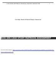 case study matrices assignment busi 690