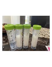 ENZYME ACTIVITY LAB (Jun 24, 2021 at 12:28 PM)