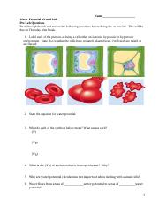 Water potential Virtual Lab.docx