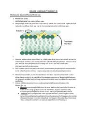 CELL AND MOLECULAR PHYSIOLOGY 08.docx