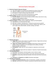 Ch_17_Endocrine_System