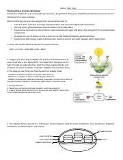 Week 4b Photosynthesis Reading Guide.pdf
