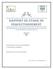 RAPPORT DE STAGE VF AP.pdf