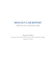 BIOLOGY LAB REPORT.docx